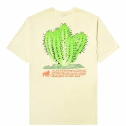 Stüssy DESERT BLOOM TEE T-Shirts & Long Sleeves