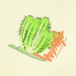 Stüssy DESERT BLOOM TEE T-Shirts & Long Sleeves