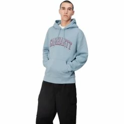 Carhartt WIP HOODED SCRAWL SWEAT Hoodies & Sweatshirts