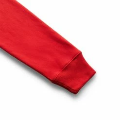 Polo Ralph Lauren MAGIC FLEECE LUNAR NEW YEAR BEAR SWEATSHIRT Hoodies & Sweatshirts