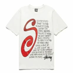 Stüssy T-Shirts & Long Sleeves SMALL TALK PIGMENT DYED TEE