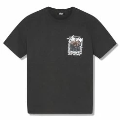 Stüssy CAMELLIAS PIG. DYED TEE T-Shirts & Long Sleeves