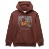 Carhartt WIP HOODED DUCK POND SWEAT Hoodies & Sweatshirts