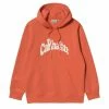 Carhartt WIP HOODED AMHERST SWEAT