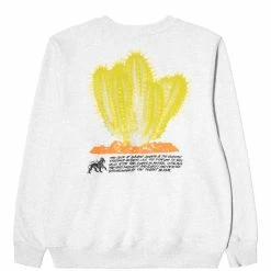 Stüssy Hoodies & Sweatshirts DESERT BLOOM CREW