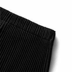 Homme Plissé Issey Miyake PANTS