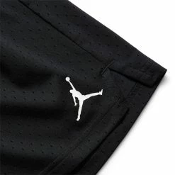 Air Jordan DRI-FT SPORT BC SHORT