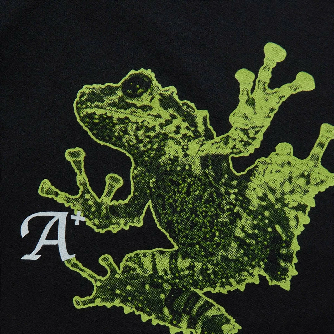 Best reviews of 💯 Perks And Mini FROG SS TEE T-Shirts & Long Sleeves 👏 3 Perks And Mini FROG SS TEE T-Shirts & Long Sleeves