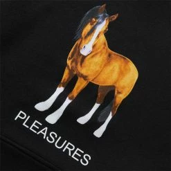 Pleasures DEATH HOODIE Hoodies & Sweatshirts