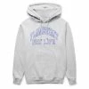 Pleasures FLAMBOYANT HOODIE Hoodies & Sweatshirts