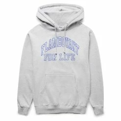 Pleasures FLAMBOYANT HOODIE Hoodies & Sweatshirts