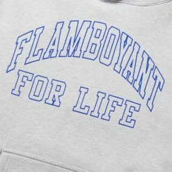 Pleasures FLAMBOYANT HOODIE Hoodies & Sweatshirts