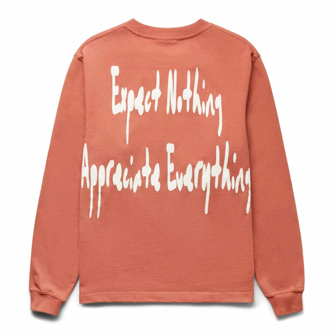 Outlet ๐ Pleasures T-Shirts & Long Sleeves HATED LONGSLEEVE T-SHIRT โญ 2 Pleasures T-Shirts & Long Sleeves HATED LONGSLEEVE T-SHIRT