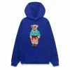 Polo Ralph Lauren VOYAGER BEAR HOODED PULLOVER Knitwear