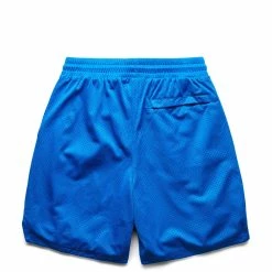 Puma EVERYDAY HUSSLE MESH SHORT Shorts