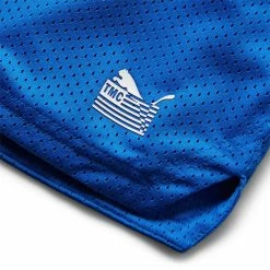 Puma EVERYDAY HUSSLE MESH SHORT Shorts