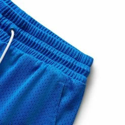 Puma EVERYDAY HUSSLE MESH SHORT Shorts