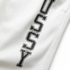 Stüssy COLLEGIATE MESH SHORT Bottoms