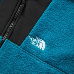 The North Face 94 HIGH PILE DENALI JACKET Outerwear