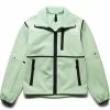 The North Face WOMEN'S RMST DENALI JACKET